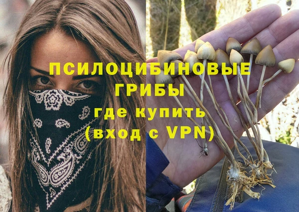 спайс Алзамай