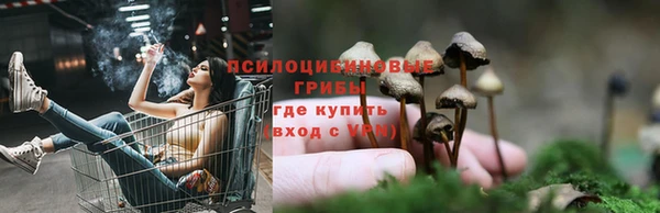 ПСИЛОЦИБИНОВЫЕ ГРИБЫ Алексеевка