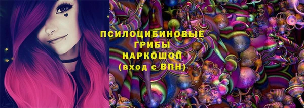 меф Арсеньев