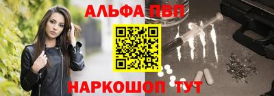 a pvp Кингисепп