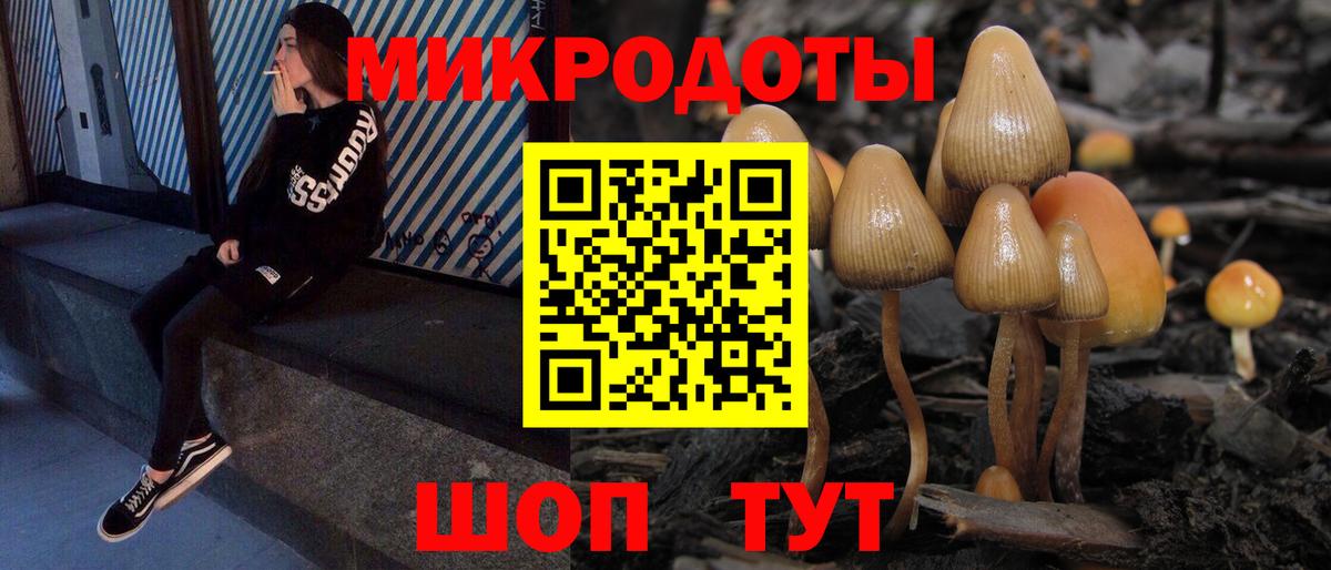 Галлюциногенные грибы Psilocybine cubensis Мытищи
